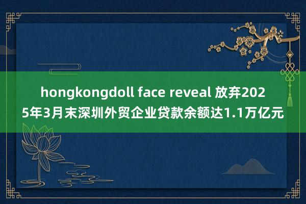 hongkongdoll face reveal 放弃2025年3月末深圳外贸企业贷款余额达1.1万亿元