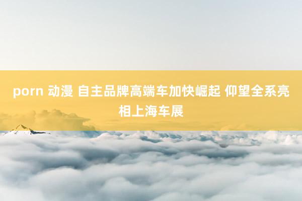 porn 动漫 自主品牌高端车加快崛起 仰望全系亮相上海车展